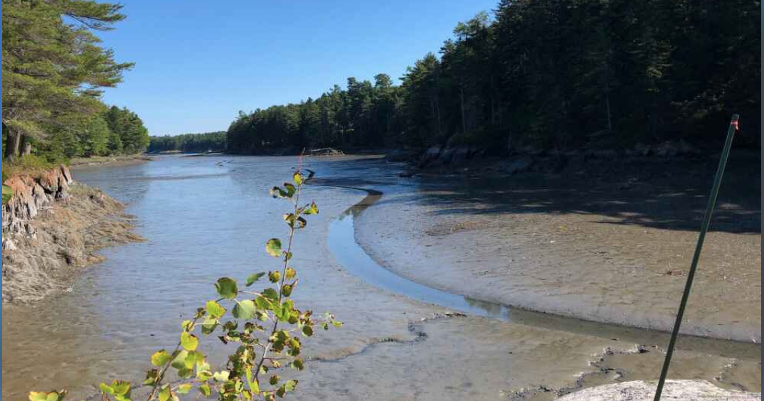 High Tide Harpswell Maine Tomorrow High Tide Harpswell Maine Tomorrow